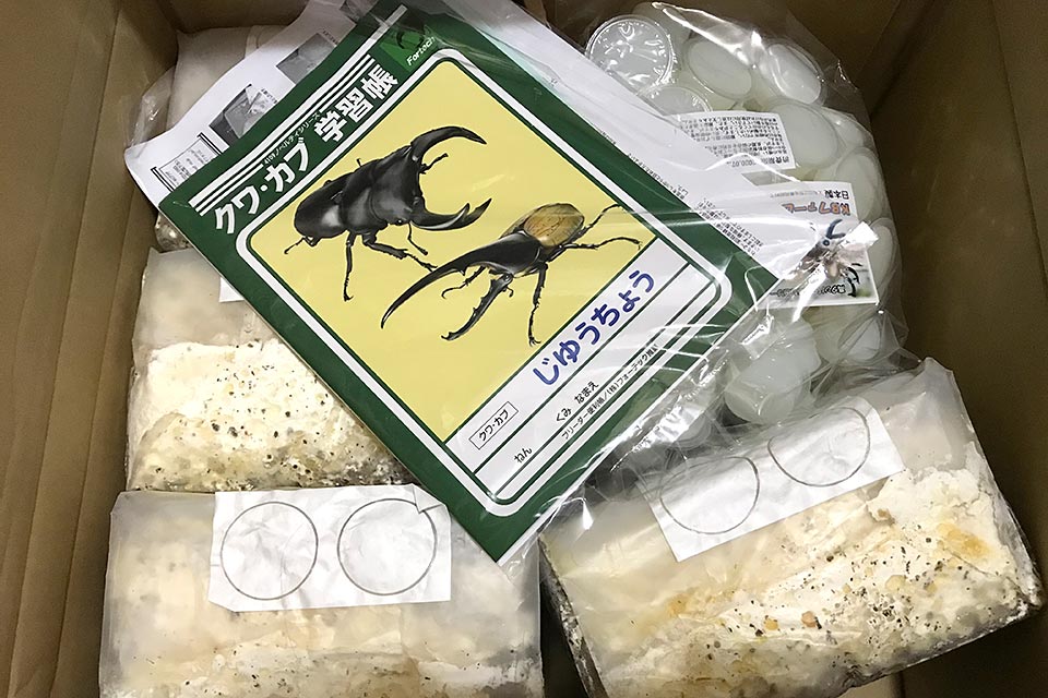 昆虫飼育用具セット 菌糸ブロック崩し 産卵木 ノギス スケールなど10本