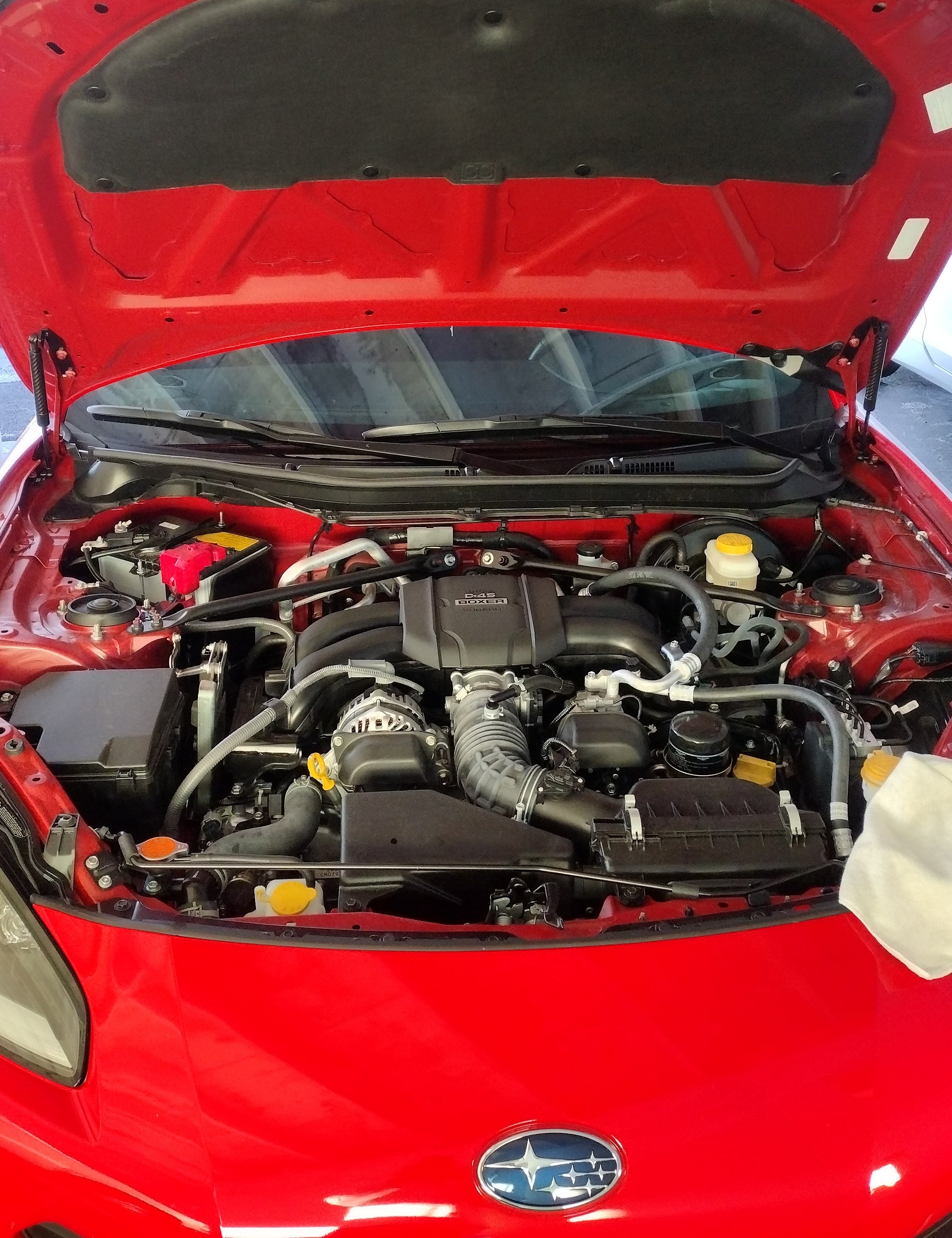 tftzkohngwiifnlt4zrm.jpg?v=