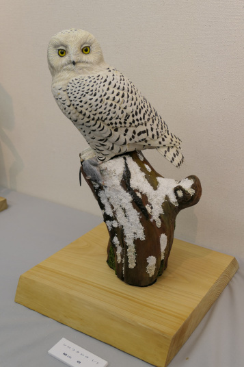 木製 アナホリフクロウ 野鳥彫刻 バードカービング 木彫りの野鳥