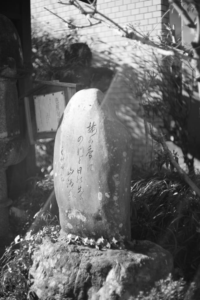 Ernst Leitz ズミクロン 50mm f/2.0 ＊作例あり