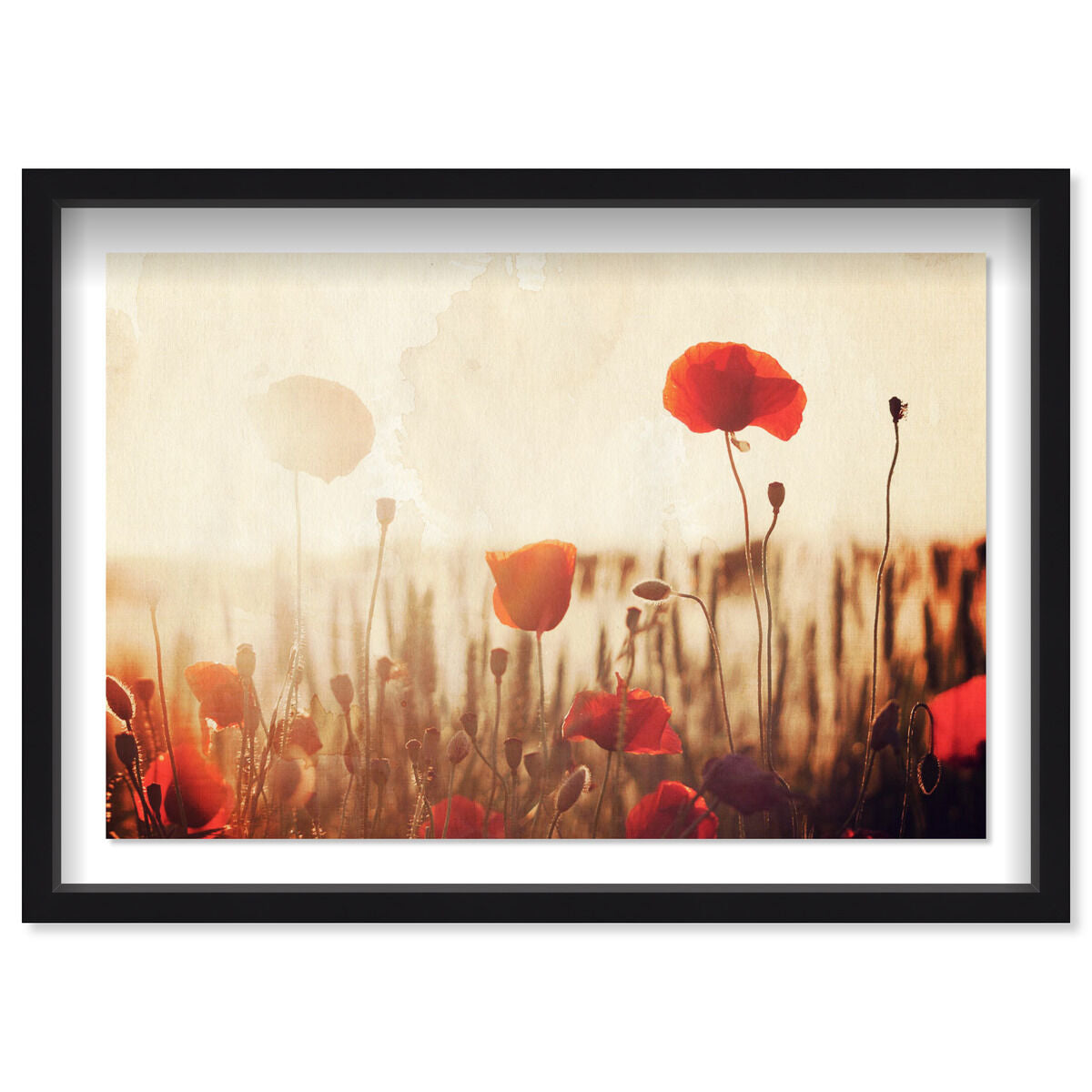 Oliver Gal 水彩画 フラワーアート Oliver Gal 水彩画 フラワーアート