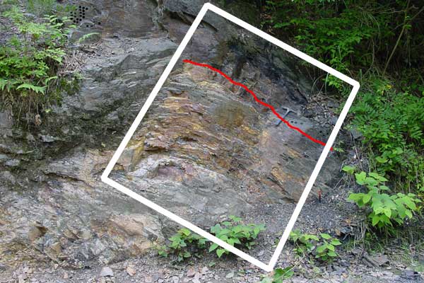 化石のこばなし 生物の大量絶滅 - 第42回特別展大化石展