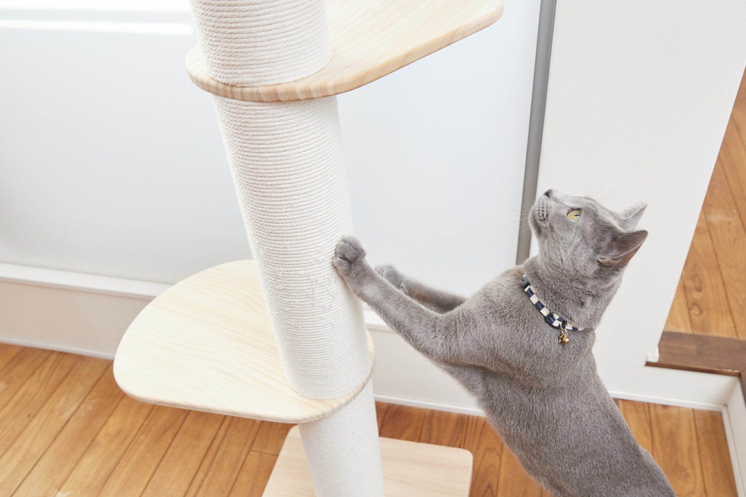 SUMIKA キミの木シリーズ 突っ張り型木製キャットタワー 【ハイエンド