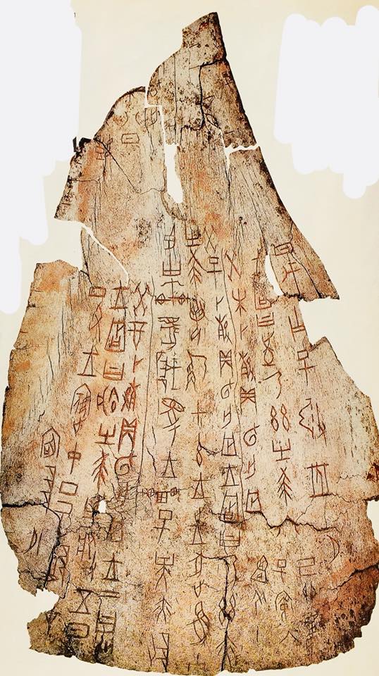 甲骨文』ってどんなもの？？ – 書家 小野﨑啓太 公式サイト