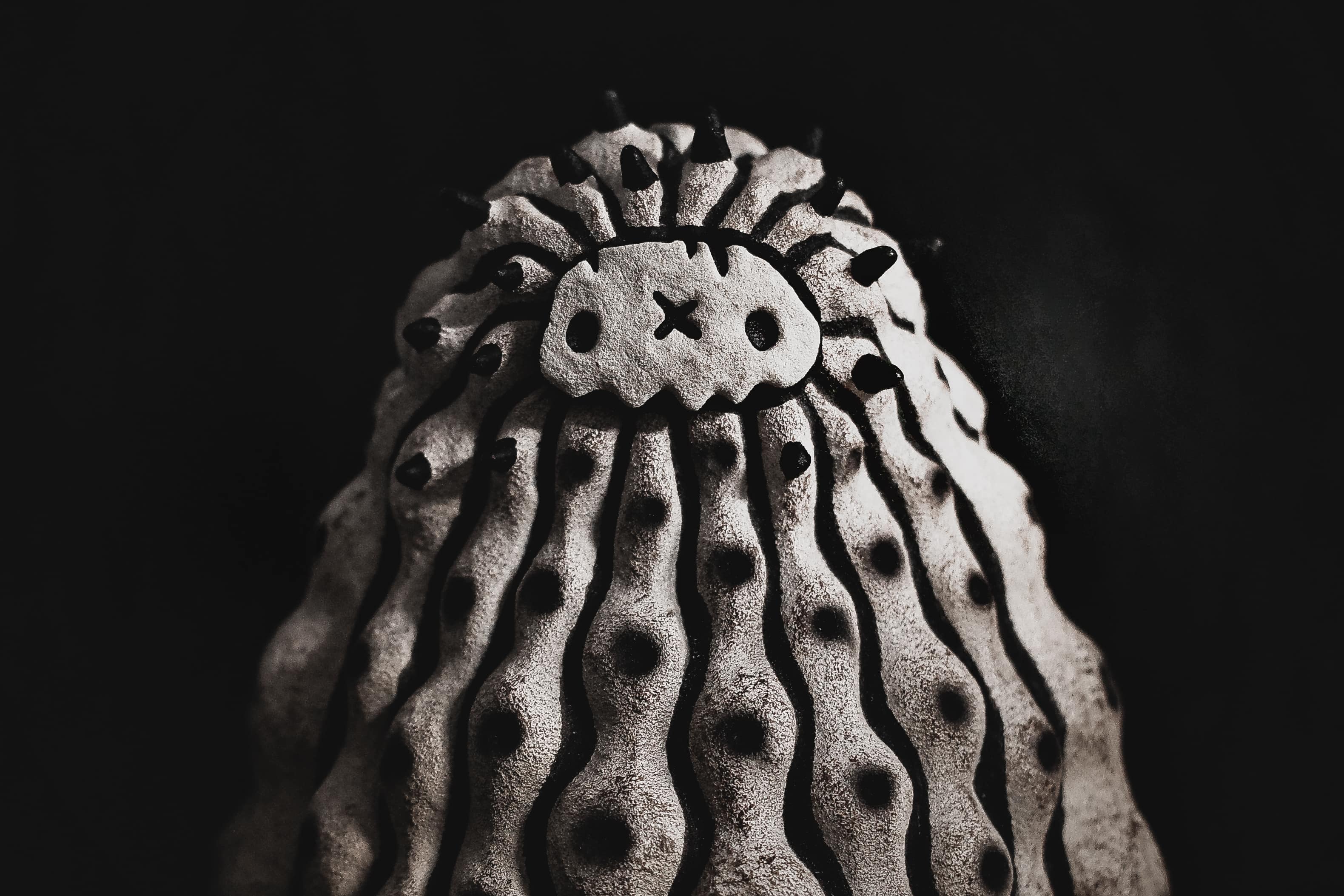 その他 Robin copiapoa x Poh robinceramicstudio その他 Robin