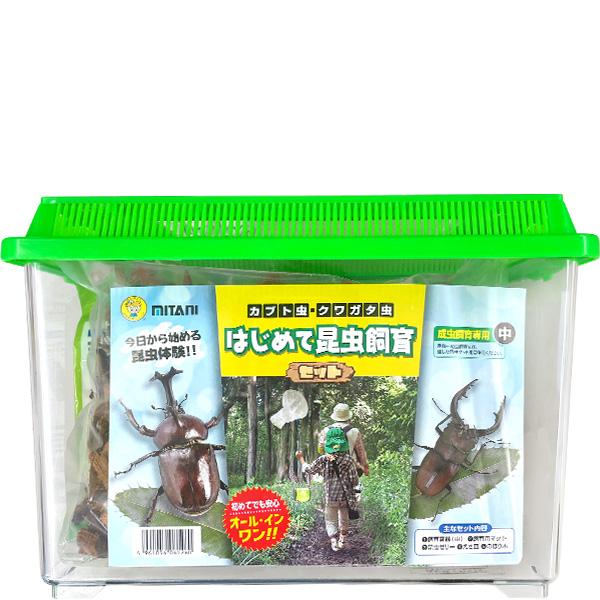 楽天市場】昆虫の標本 世界のクワガタなど 10～11匹 (小大) : まんまる