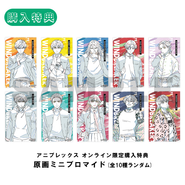 WIND BREAKER チェキ風ブロマイドコレクションVol.3（ランダム10種）