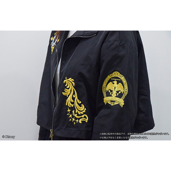 Disney Twisted-Wonderland 3D Magical Live -Blazing Jewel