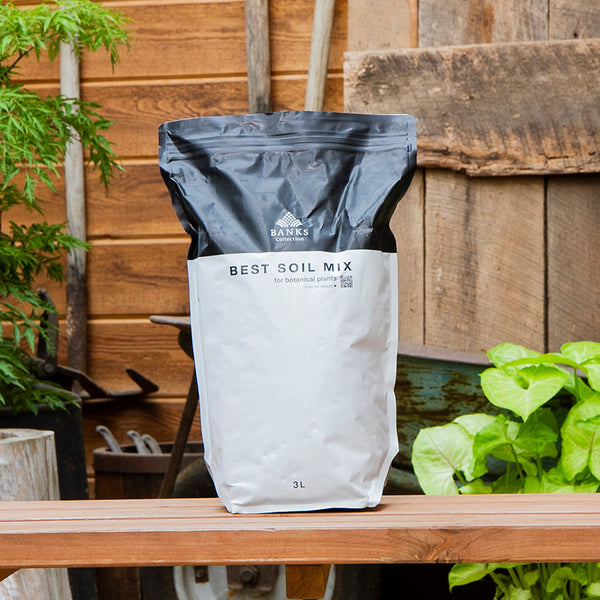BEST SOIL MIX 3L | AOKI KAEN E☆BANKS BEST SOIL MIX 植物用土 10袋
