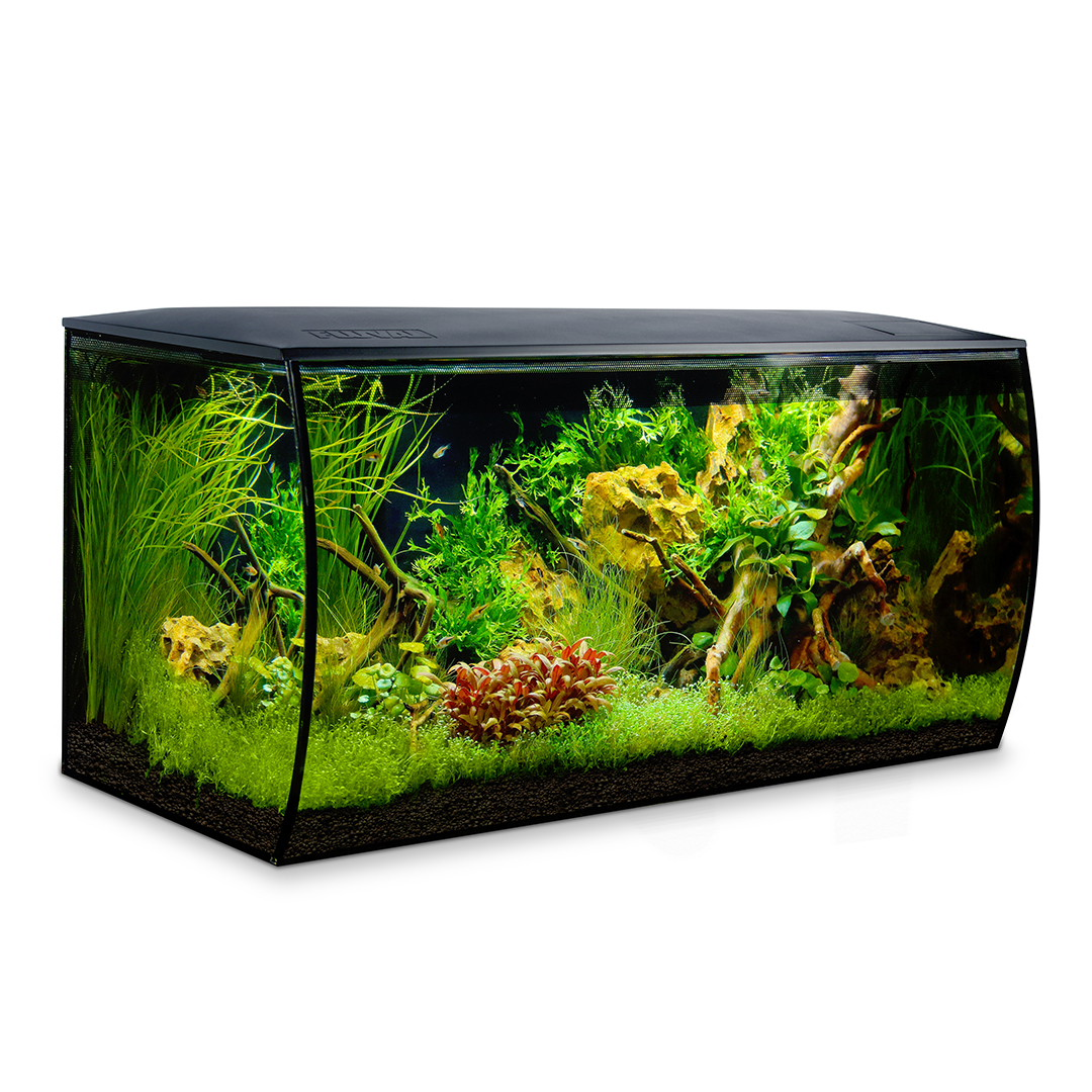 Fluval Flex Freshwater Aquarium Kit Black - Laroy Group
