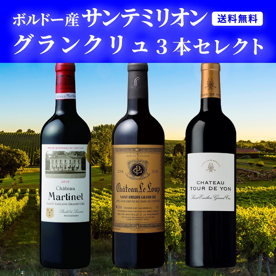 ブルゴーニュ モンターニュサンテミリオン セレクション赤3白2計5本