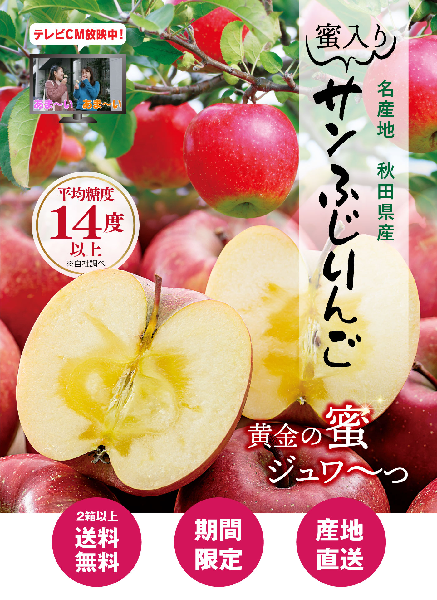 初回限定 秋田サンフジりんご 2kg 1,990円 同住所に2セット以上で送料