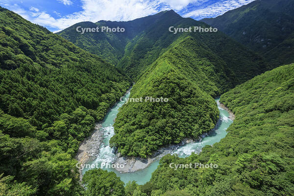 祖谷渓のひの字渓谷[NHI110035842]の写真・イラスト・動画｜サイネット