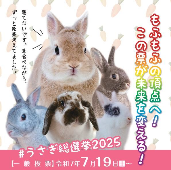 うさぎ48 エントリーうさぎ | 酪農王国オラッチェ