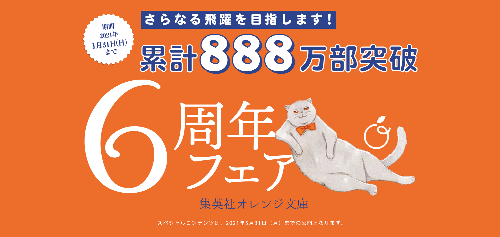 6冊まとめ売り 洋書 6冊まとめ売り 洋書 Amazon.co.jp: ZX-6R パーツ