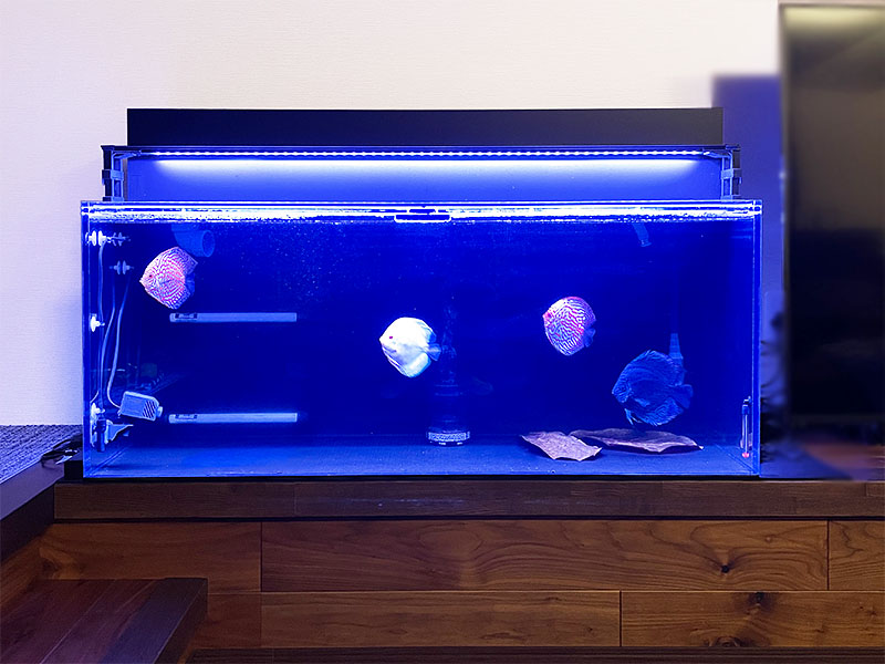 オーダーメイド水槽&上部フィルター】ディスカス用大型アクリル水槽セット