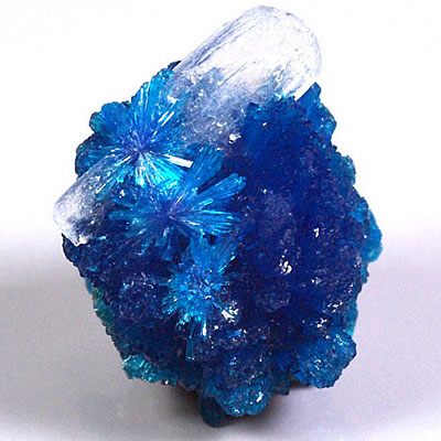 カバンサイト カバンシ石 – Orio Blog