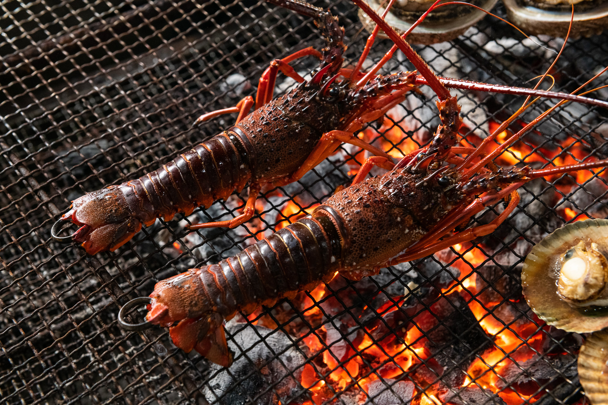 伊勢海老の食し方。もう慌てない！生きた伊勢海老が自宅に届いてご安心