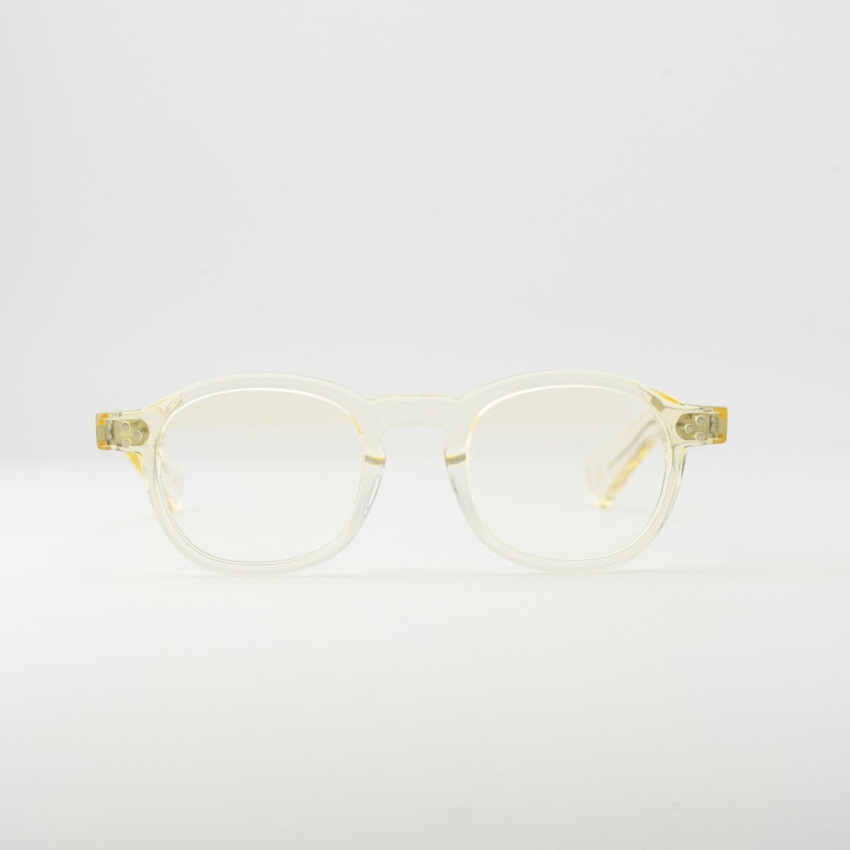 お買い得 コスタリカ産 アウリガヌスキンイロコガネ 26mm コスタリカ産