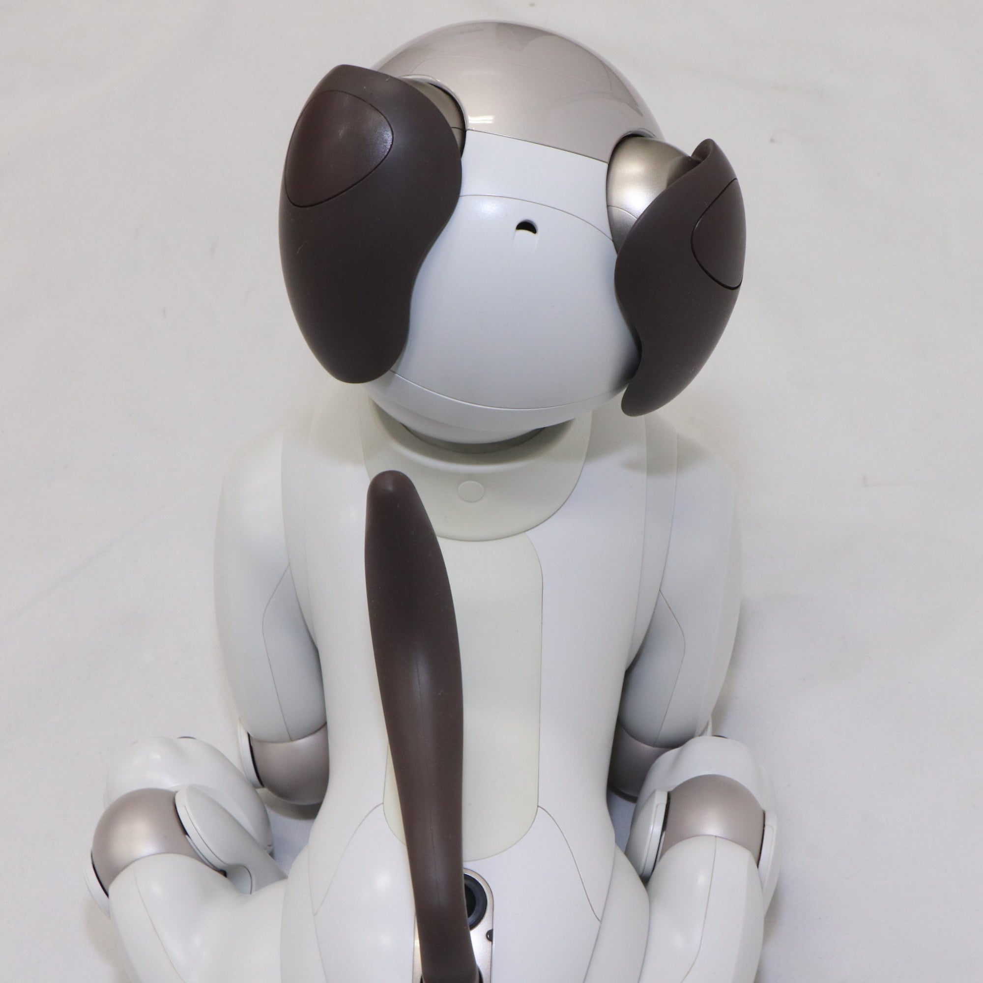 期間限定 ソニーアイボAIBO アイボリーホワイト 動作確認済