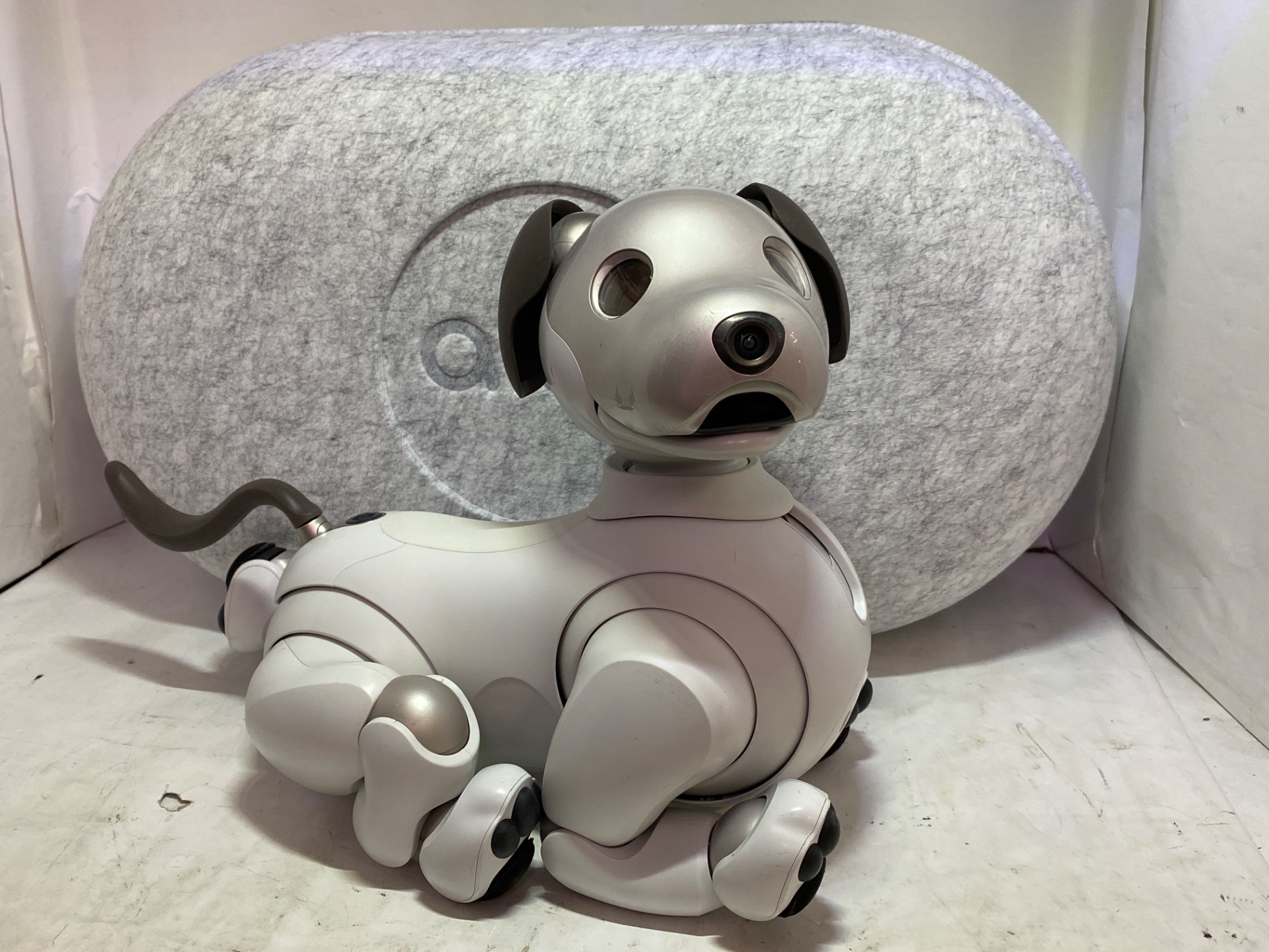SONY aibo ERS-1000/M/S 箱付属品あり アイボーン・サイコロ SONY aibo