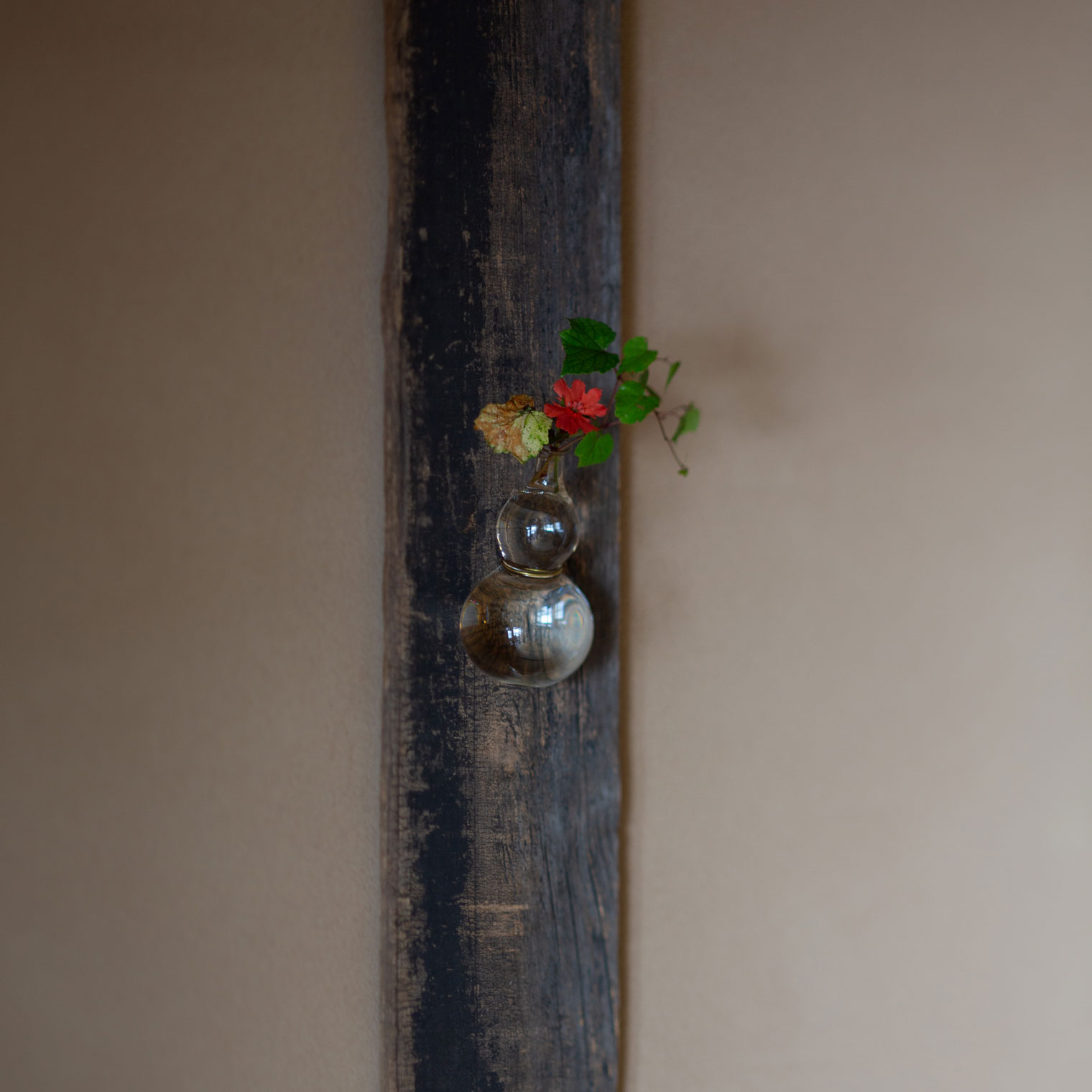 瓢掛花入 | Works | 津田清和 | panorama