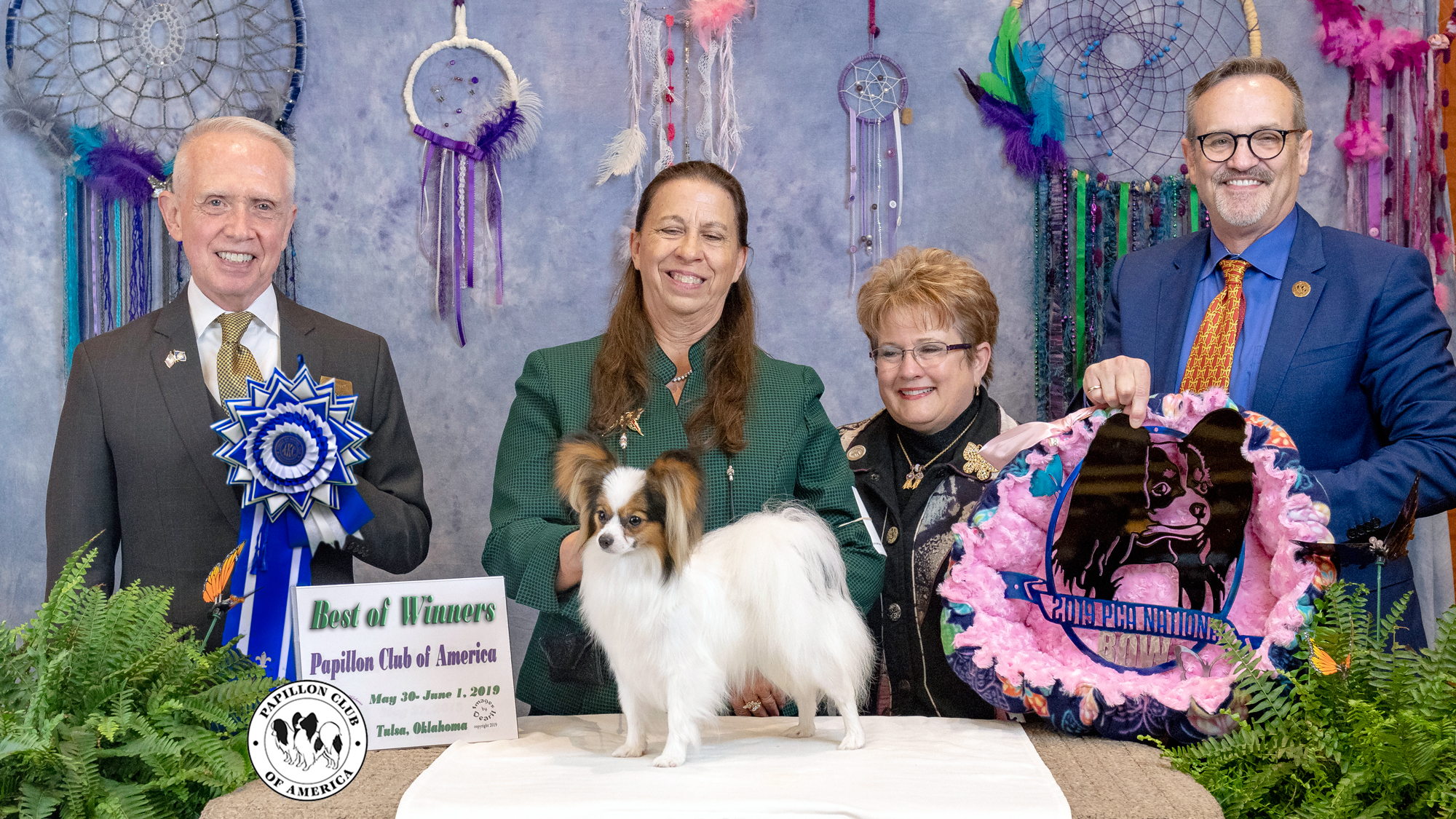 Specialty – National – 2019MAY31 & 2019JUN01 – Papillon Club of