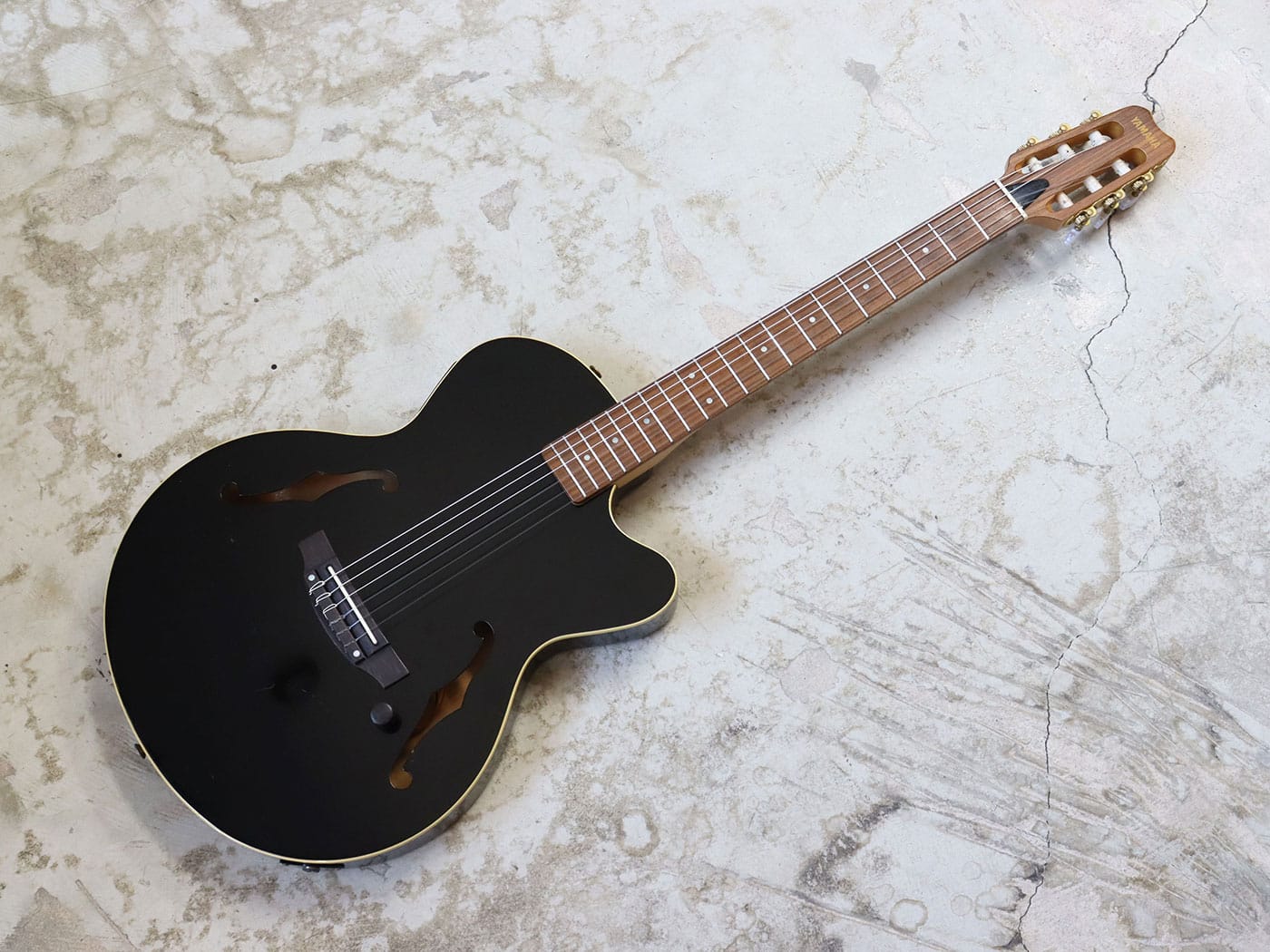 M*9様 ヤマハ AEX500N エレガット M*9様 ヤマハ AEX500N エレガット