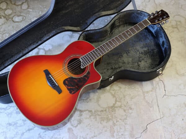 S.yairi YE-50/N エレアコ(ソフトケース付き)