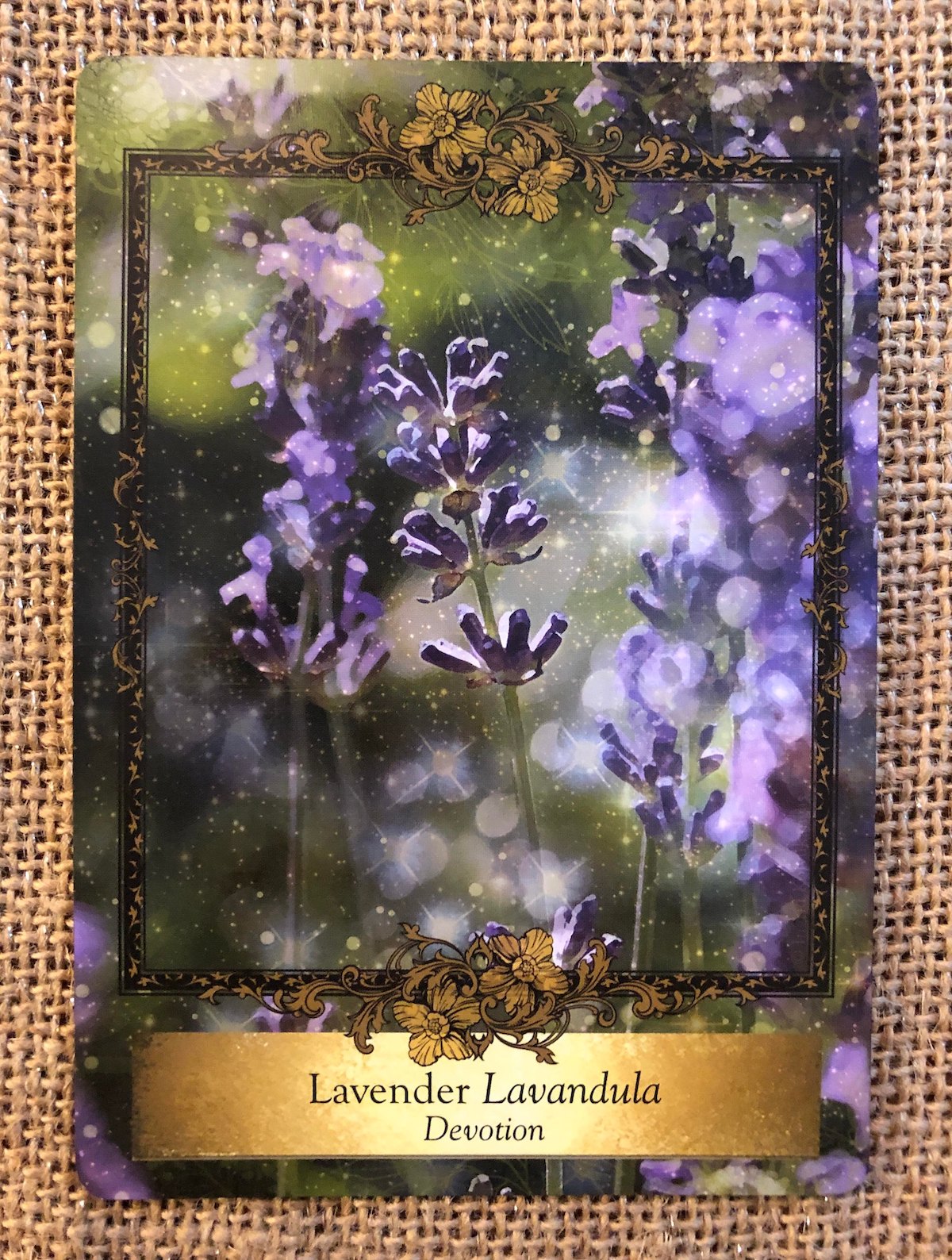 Alchemy Flower Oracle | Parting the Mists