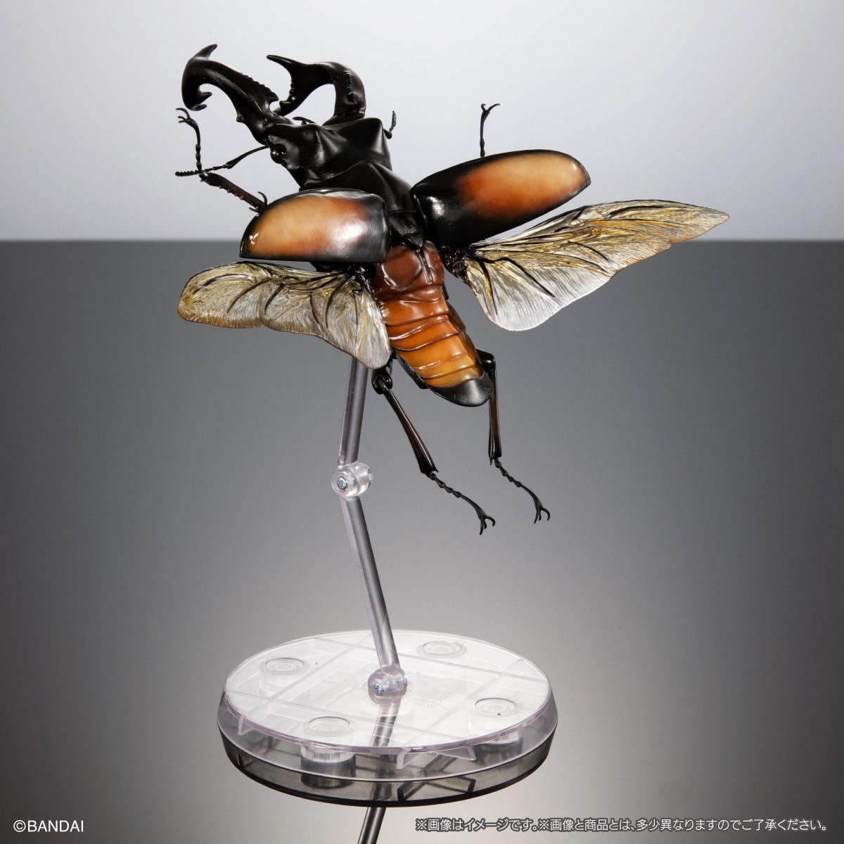 いきもの大図鑑アドバンス クワガタ02 樹皮台座（中）セット | ナムコ