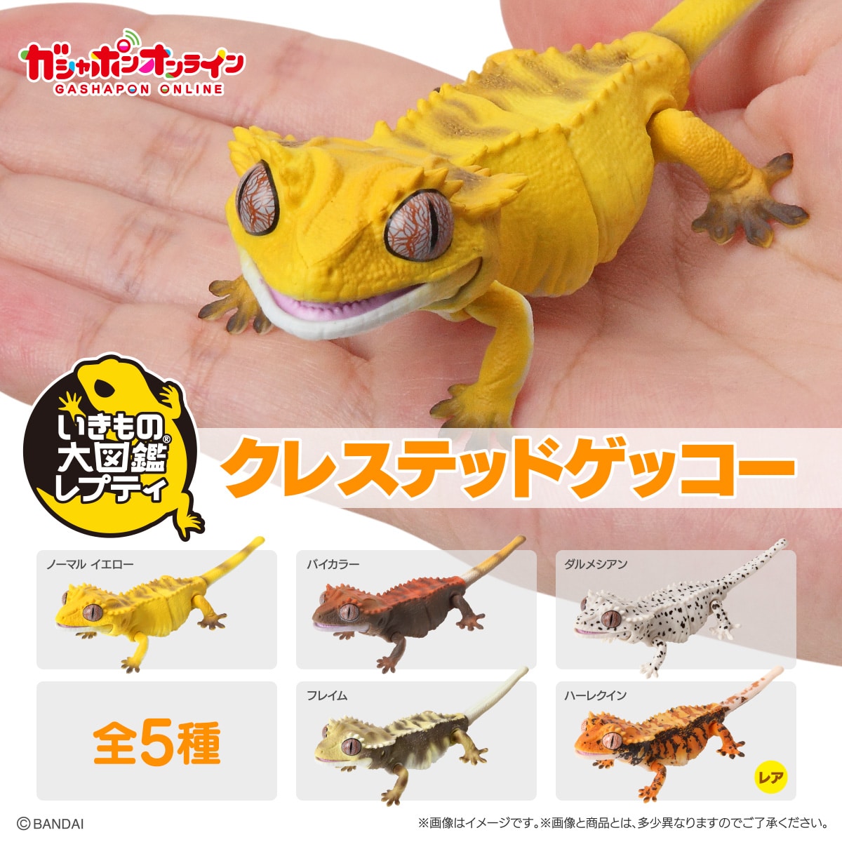 いきもの大図鑑レプティ クレステッドゲッコー【2023年11月発送