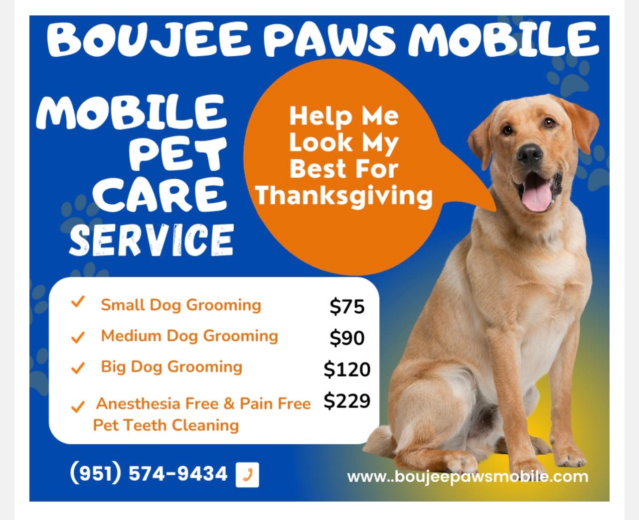 Dental Aloha Affordable Veterinary Service Pet Sitters Aloha