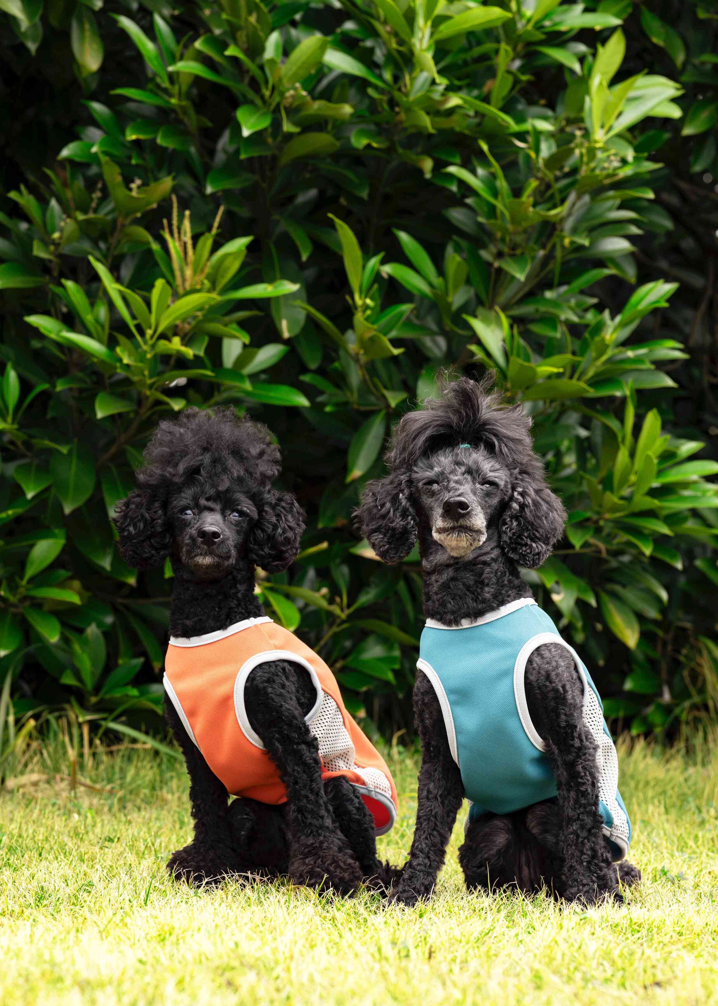 Sサイズ ALPHAICON サマークーリングタンクトップ アルファアイコン