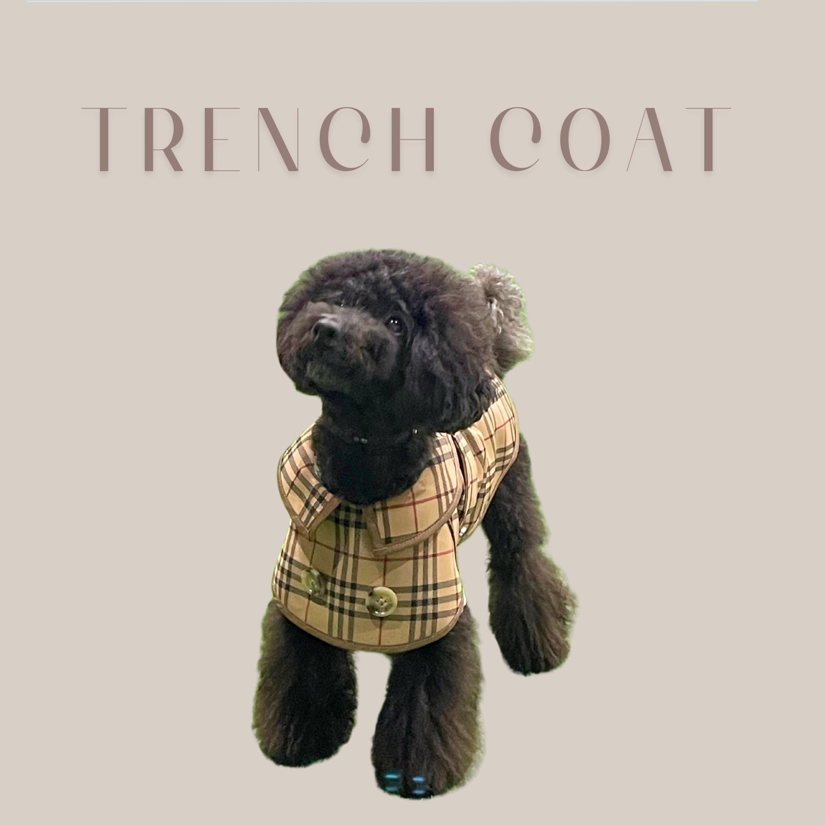 DOGGY TRENCH COAT ドギートレンチコート – pawdea