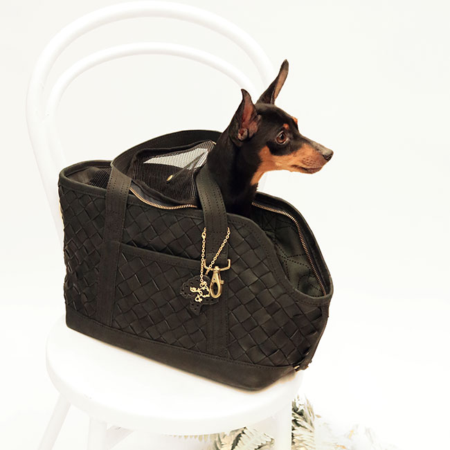 メッシュレザーペットキャリートート(S) | paw's living