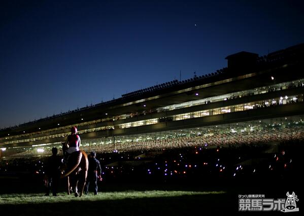 ユーキ オルフェーヴル 引退式額装写真 レース写真同梱 オルフェーヴル