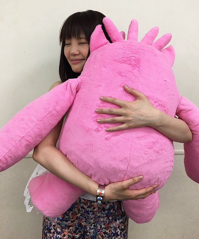 いっきーもんきー 美品 いきものがかり ぬいぐるみ 未使用 ikimono