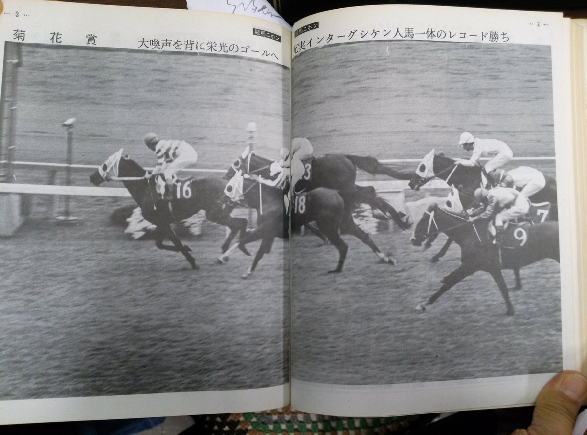 昭和53年菊花賞 インターグシケン 競馬ニホン週刊号から菊花賞ハイ