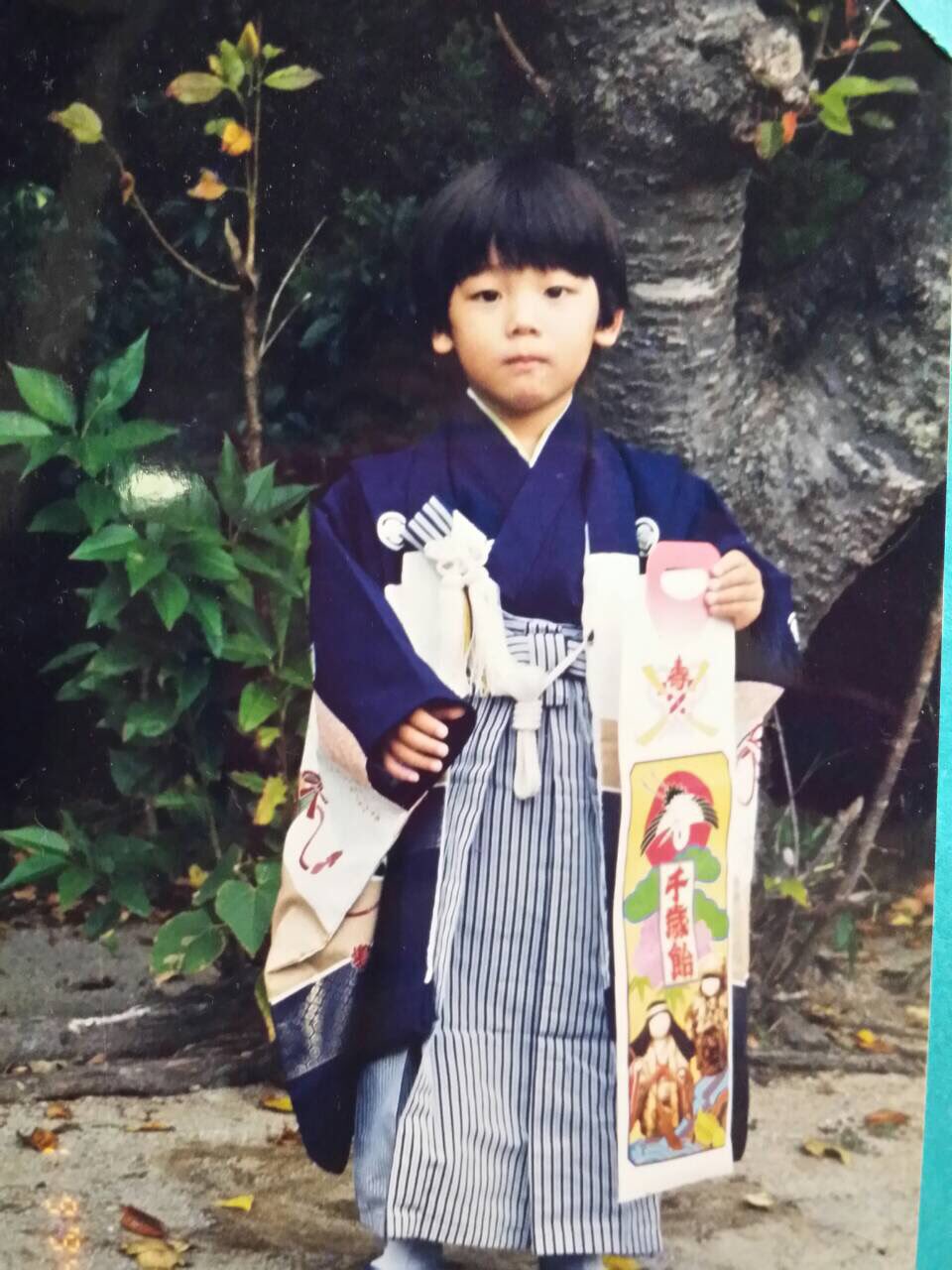 みやかわくん 宮川大聖 写真 ブロマイド トレカ 5枚セット みやかわ