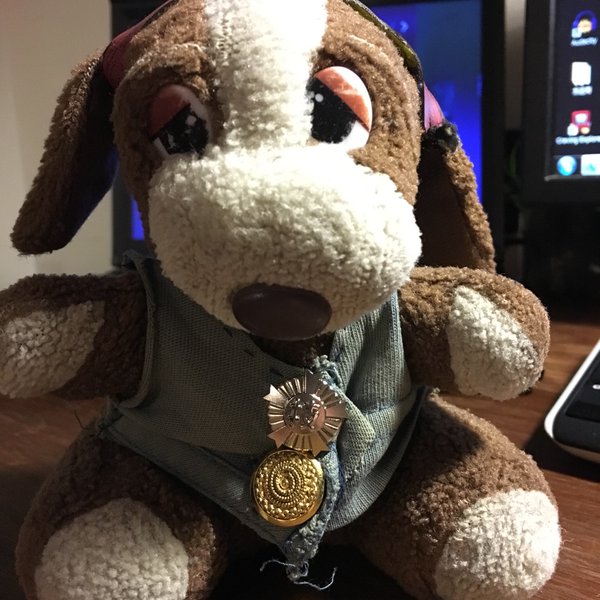 Sad Sam いぬわんたん ぬいぐるみ Sad Sam いぬわんたん ぬいぐるみ