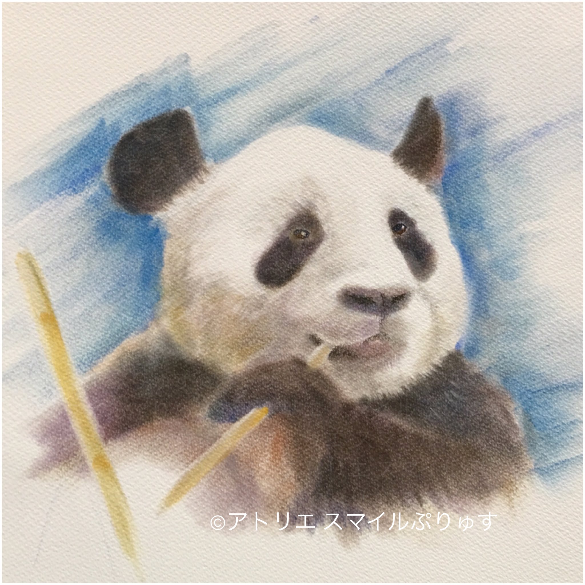 やっほい” 色鉛筆画 パステル パンダ やっほい” 色鉛筆画 パステル