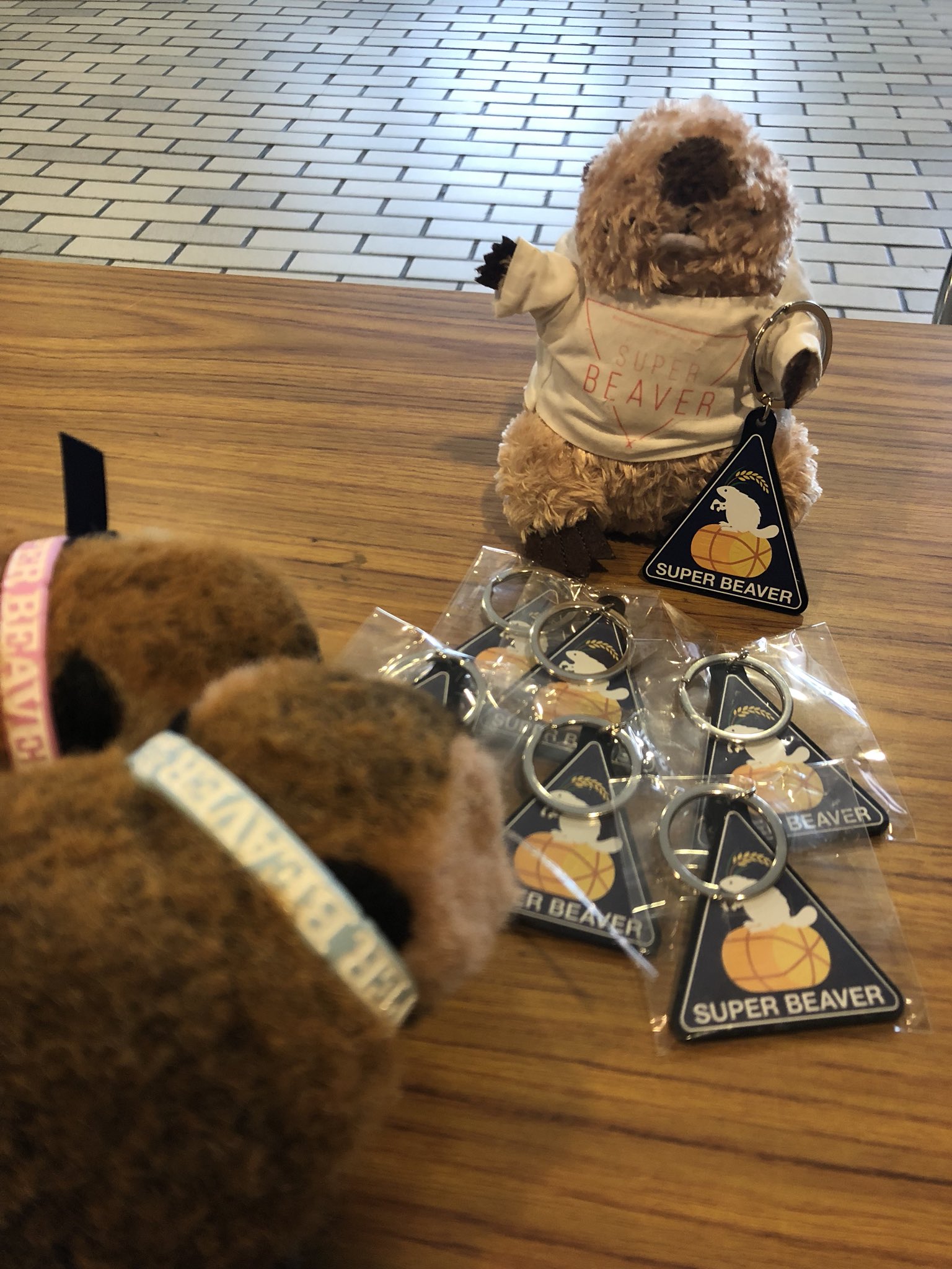 SUPERBEAVER ビーバーちゃん人形 中古ぬいぐるみ スーパービーバー