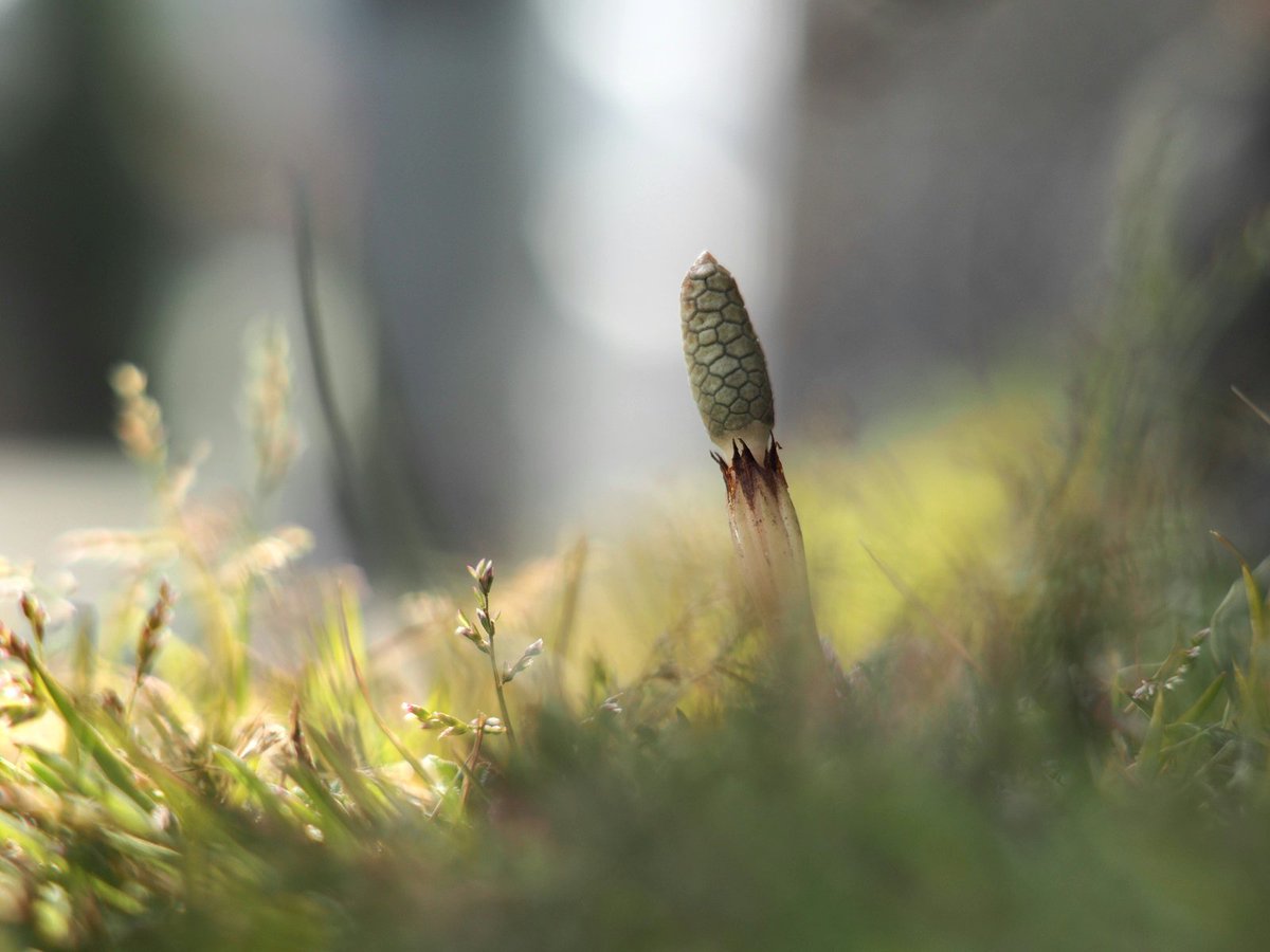 機能の黒板みたび