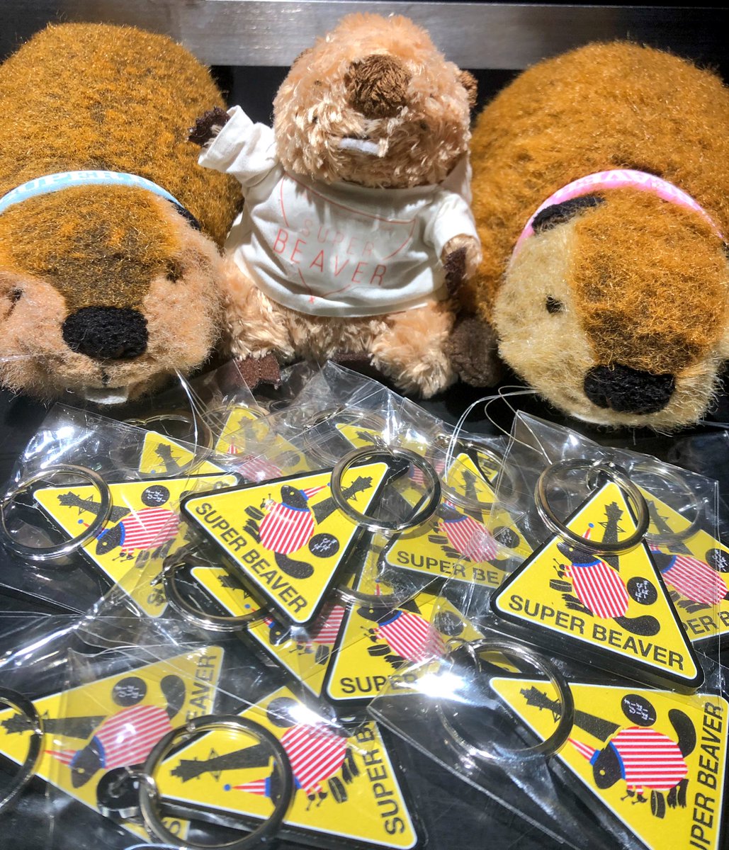 SUPER BEAVER スーパービーバーちゃん ぬいぐるみ