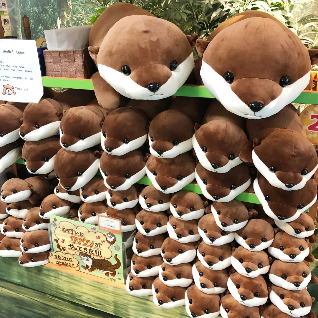 サンシャイン水族館 カワウソ 一等賞 ぬいぐるみ 新品 数量限定 江ノ島