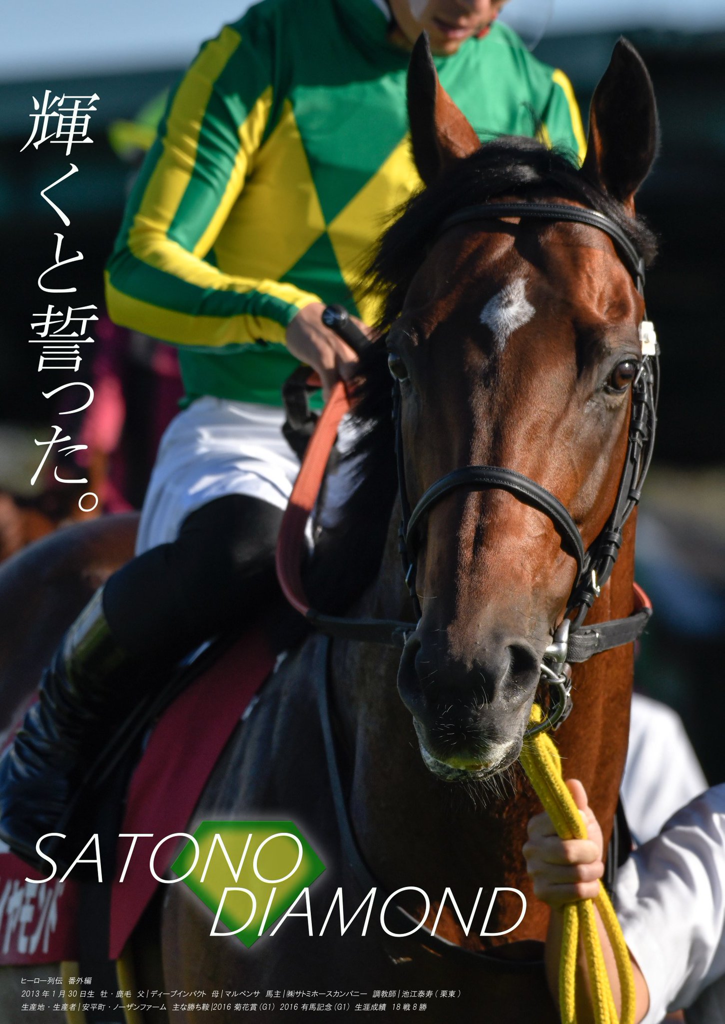 JRA 非売品 ポスター 名馬 サイレンス スズカ ウマ娘 ヒーロー列伝 JRA