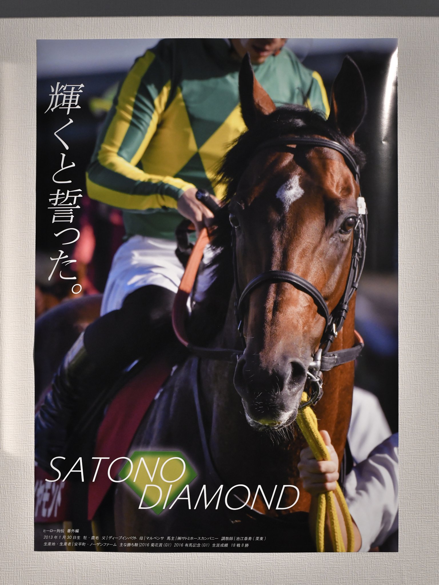 非売品】ウオッカ ポスター B3サイズ 競馬 ヒーロー列伝ウマ娘 大橋彩香