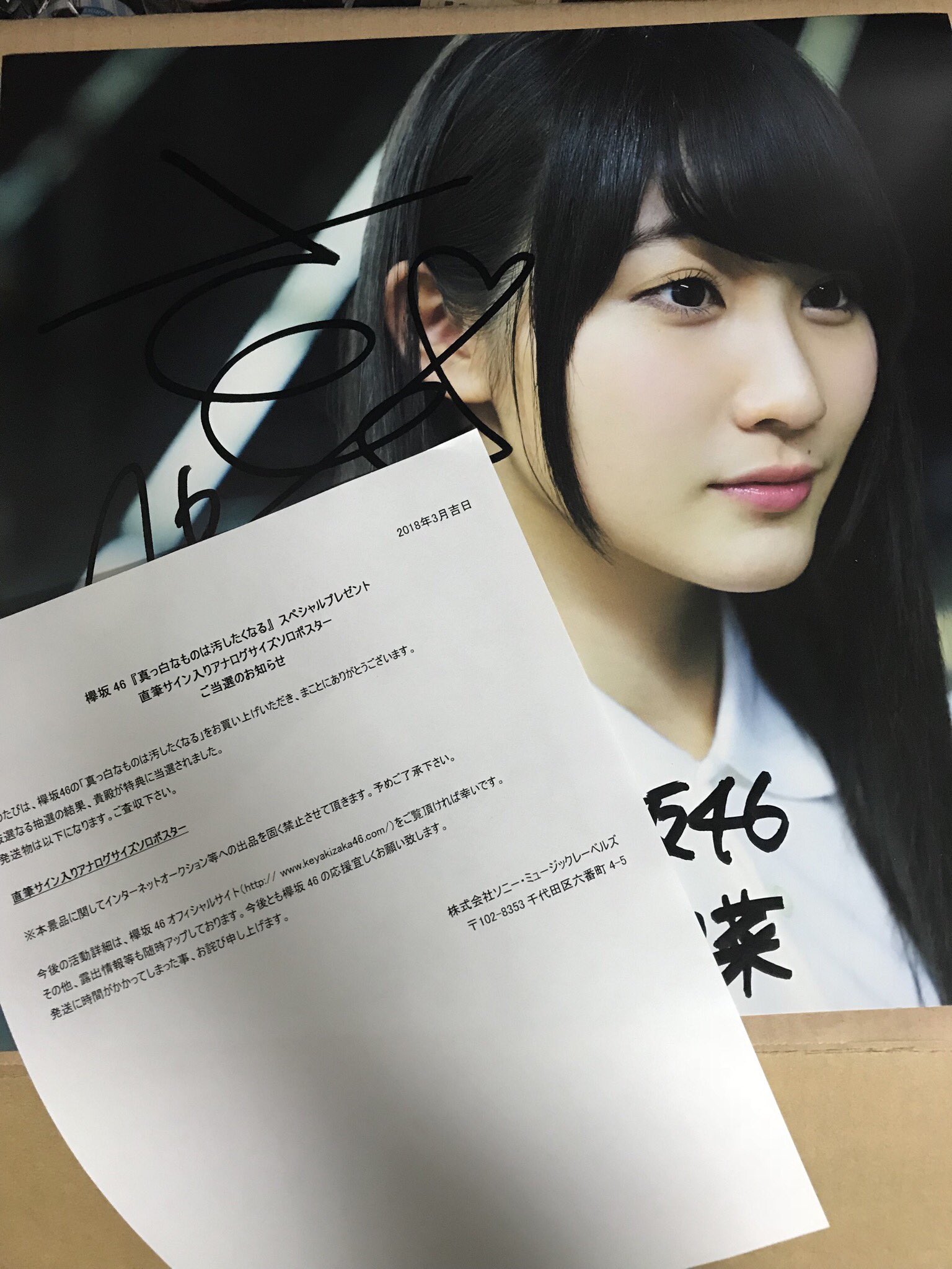 欅坂46 渡邉理佐 真っ白なものは汚したくなる (特典)アナログポスター