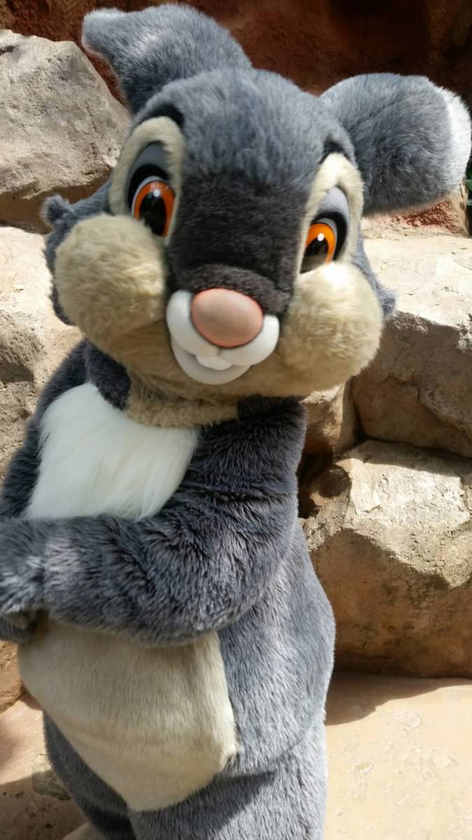 うさぎどん ぬいぐるみ クリッターカントリー 東京ディズニーランド